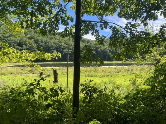 Side view of the pond