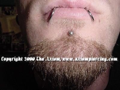 Labret and Lip Piercing by DaVo