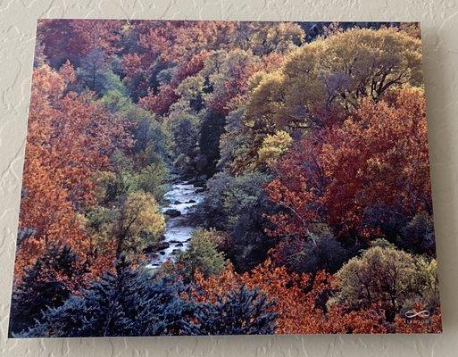 Fall scene of Oak Creek Canyon