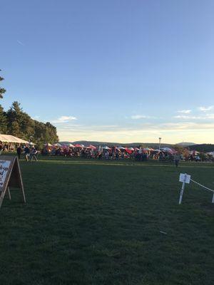 Lawn with picnic tables on the hill