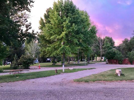 Come to Intermountain RV Park! These shady sites are ready for campers!