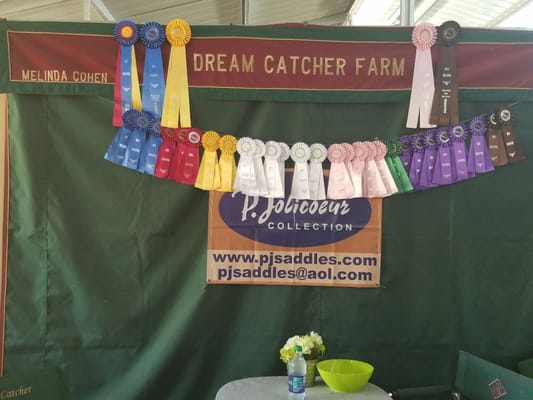 Dream Catcher Farm had a good week at Hits Culpeper,VA horse show.