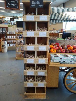 Local garlic selection