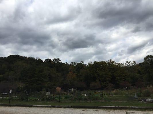 Community garden