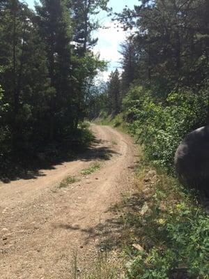 The road to the cabin