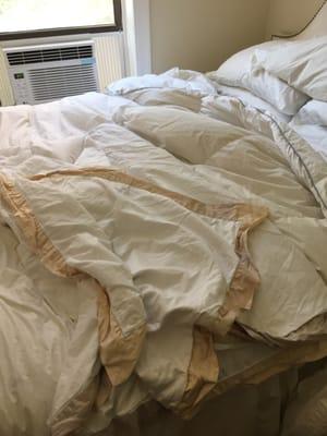 RUINED DUVET COVER, TRIM MYSTERIOUSLY TURNED PEACH