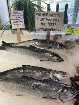 Washington whole Coho salmon, just $12.99/pound