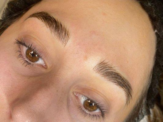 Microblading touch up