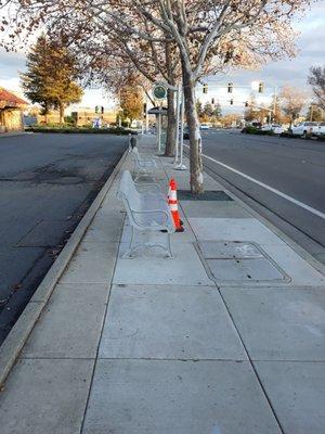 Park benches in middle of sidewalk. Traffic calming device or a hindrance for wheelchair access?