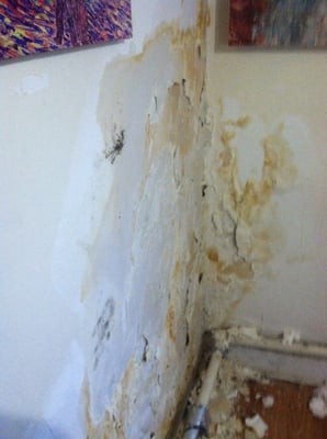 Wall with black mold