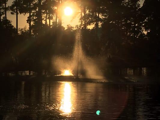 Sunset on campus!