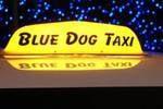 Blue Dog Taxi