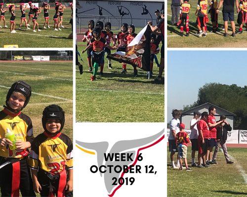 Palos Verdes Youth Football and Cheer