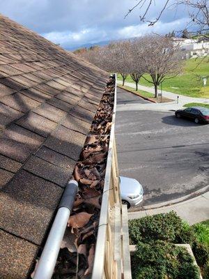 gutters cleaning