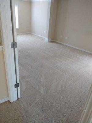 Master Bedroom - Original carpet in 13 yr old rental home! Expertly cleaned by Premier Cleaning & Restoration!