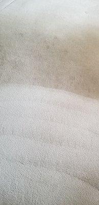 Carpet Cleaning