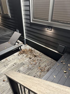 Gutter cleaning and a hot mess