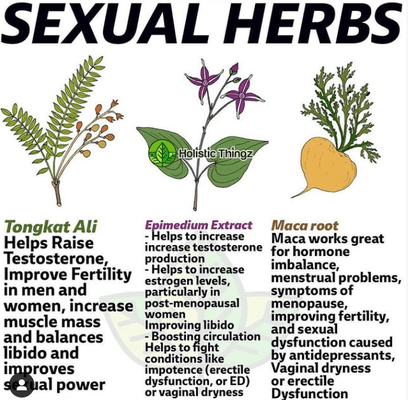 Herbs for Immune system and many other health benefits