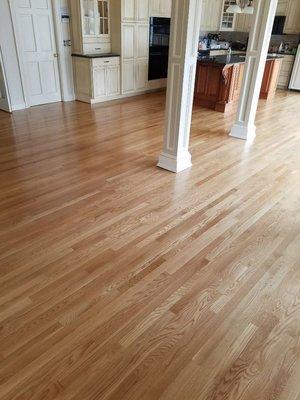 This is a photo of a freshly refinished Red Oak hardwood flooring with three coats of oil-based poly.