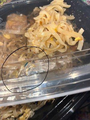 Plastic found in pad thai