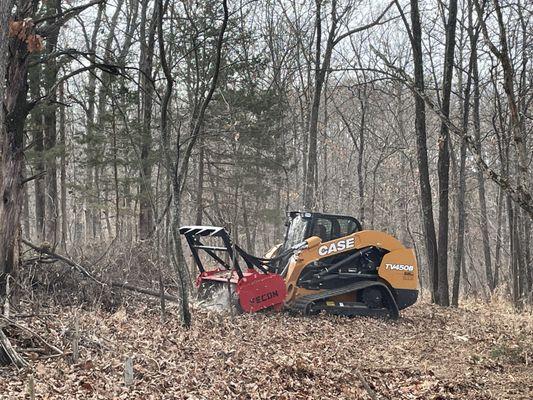 Spartan Forestry & Mulching