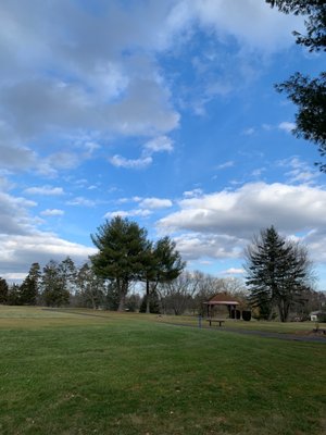 Where are all the Golfers?  Oh wait, Gophers.  Either way.