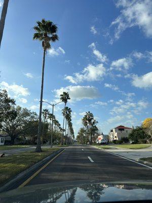 Cleveland Heights Blvd on the way to the course, one of the most beautiful drives in the city of Lakeland