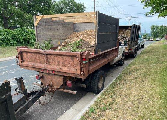 tree removal company truck in st paul mn