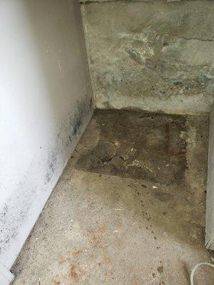 Mold in a customer home.