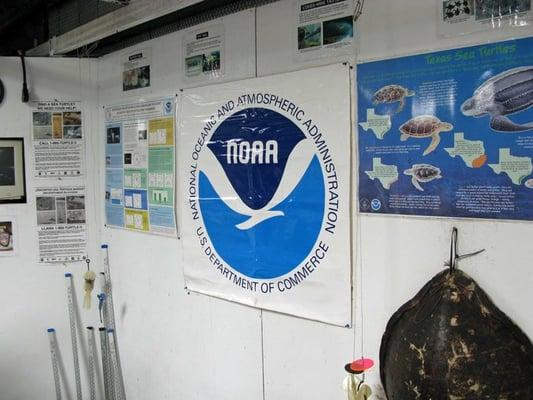 The tour taken July 26, 2008 at the NOAA Sea Turtle Facility, Galveston, TX.