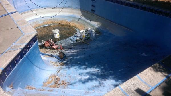 same pool being cleaned