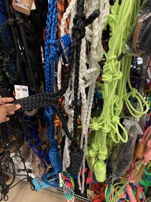 Massive selection of lead ropes. }:{