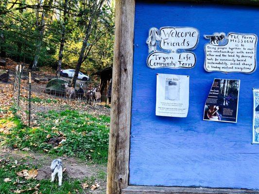 Tryon Life Community Farm