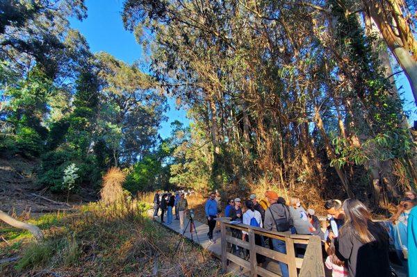 Monarch butterfly boardwalk/trail (busy day after Thanksgiving)