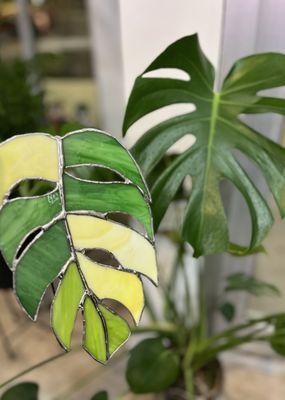 Monstera stained glass class