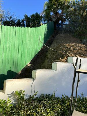 Prepping for a privacy hedge installation..