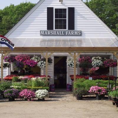 The farm stand