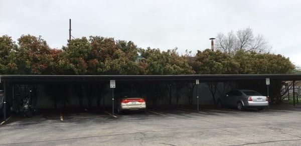 New carport to protect car.