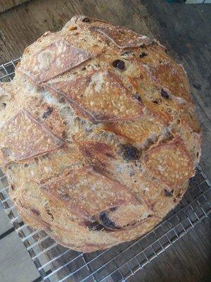 The Rustic Sourdough comes in a tangy Italian variety with sun dried tomatoes, kalamata olives, and italian spices