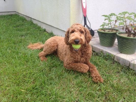 Neyland and his favorite toy!