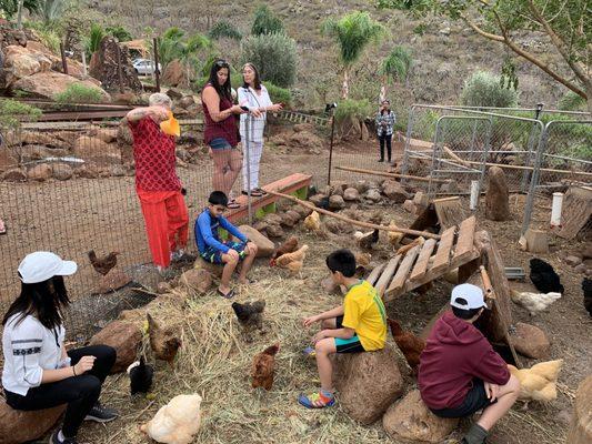 Lahaina Family Farms