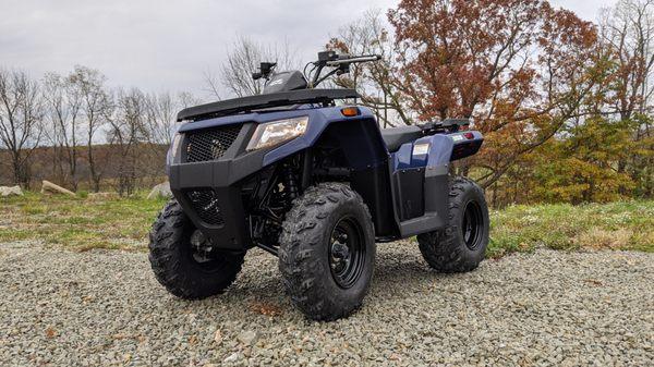 2021 Alterra 300 (Earth Blue) https://www.kneppco.com/inventory/2021-arctic-cat-300-berlin-pa-15530-10747686i