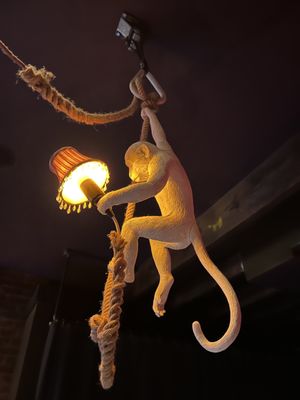 The coolest light fixture!