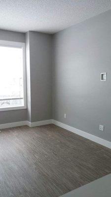 Flooring, Trim & paint