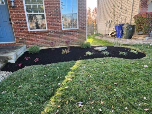 Plans and mulch