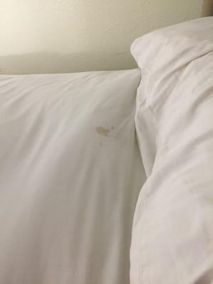 Wish we went to bed with the lights on so we would have seen the blood stains on the sheets before we went to sleep.