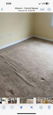 Before carpet removed