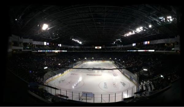 Bridgeport Sound Tigers