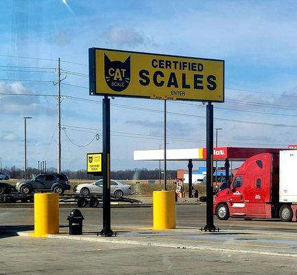 Cat Scale