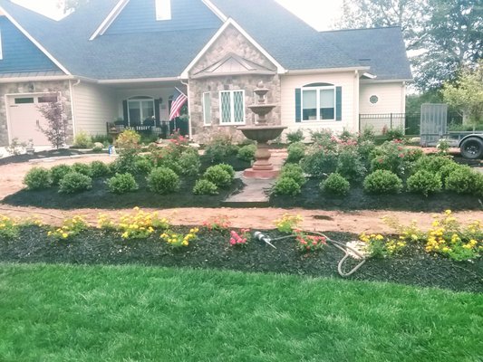 Raised beds, sod install, shrub installation